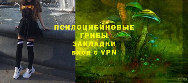 мдпв Балабаново